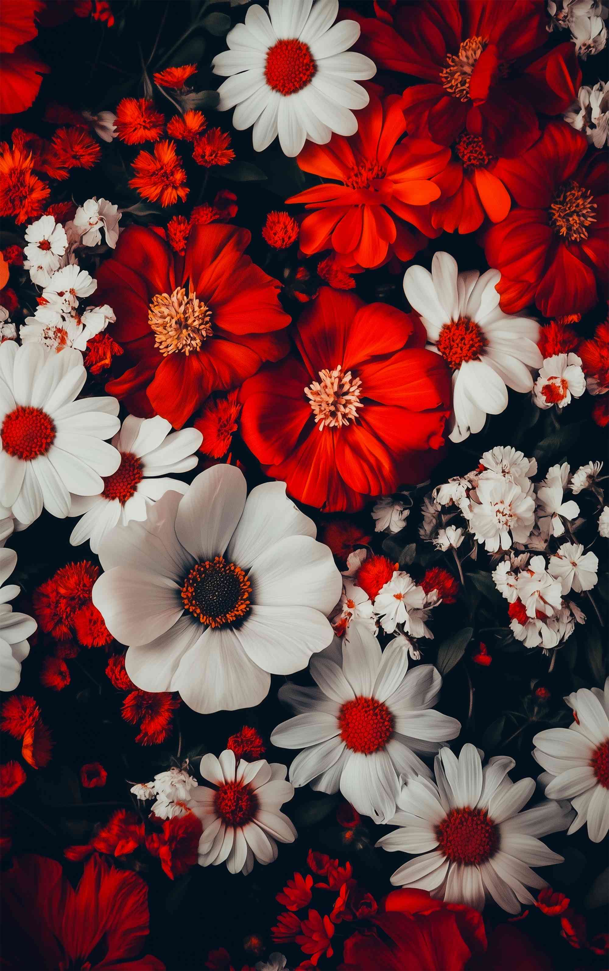 Best flower wallpaper | MirrorLog
